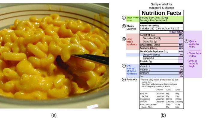 Macaroni and cheese nutrition facts